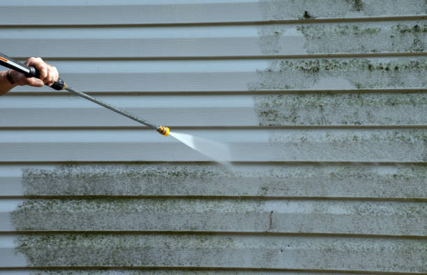 Animal Enclosure Cleaning in Edison, GA